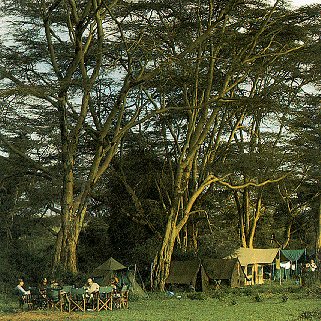 You can view wildlife and birdlife from your camp.