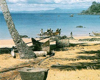 Some of Madagascar's 1,800 miles of beaches.