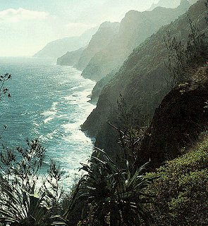 The lush coastline of the Hawaiian islands.