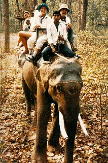 Riding an elephant through the Royal Chitwan Park.