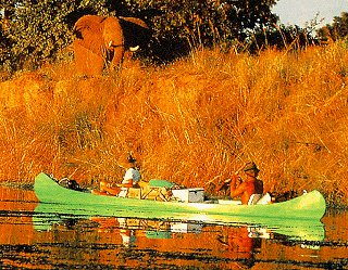 Canoeing by an elephant.