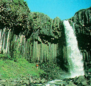 Svartifoss (Black) Waterfall, Iceland.