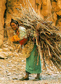 A friendly young woman of the Jebel Sahro nomads.