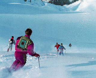 Cruising through virgin powder.