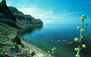 Cruise on the Sea of Cortez.