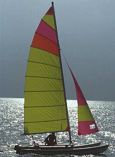 Wind fills the catamaran's sails.