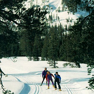 A trio of skiers skate on the groomed trails.