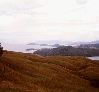 The hills and dales of New Zealand's North Island.