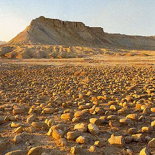 The haunting Israeli desert landscape.