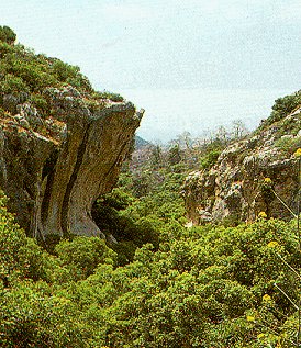 The Carmel Mountains.