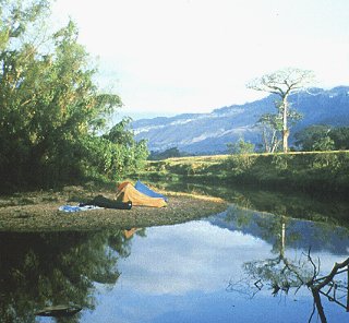 A calm bend of the Jatate River.