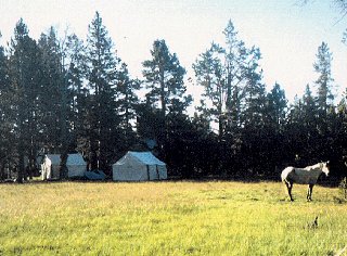 Ride through wilderness and camp under the stars.