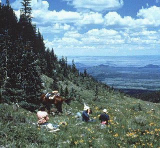 Enjoy an Alpine ride in the great Southwest.