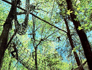 Rope climbing with N.C. Outward Bound.