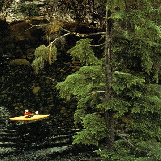 Paddling in the Vancouver wilderness.