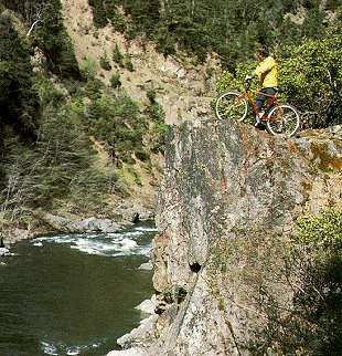 Mountain bikes go anywhere.