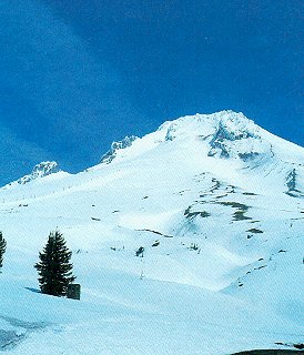 Mt. Hood in summer.