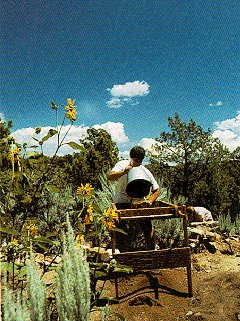 Excavate sites in Sand Canyon.