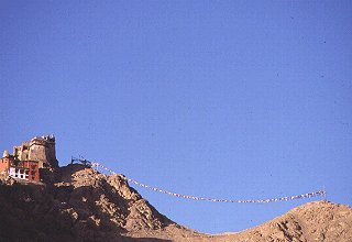 Gompa amidst prayer flags in Leh, Ladakh, India.