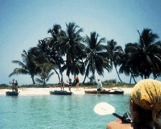 Landing on an idyllic island.