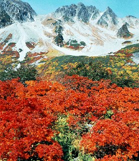 The lovely Japanese Alps.