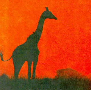 A giraffe pierces the scarlet sky.