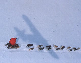 Follow the Iditarod Race by bush plane.