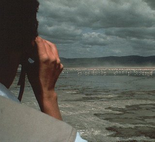 Flamingos flock to the crater floor.