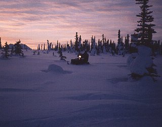 Sledding in Alaskan solitude.